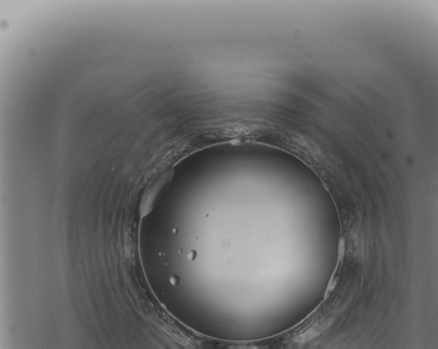 X0000068840317200605121413