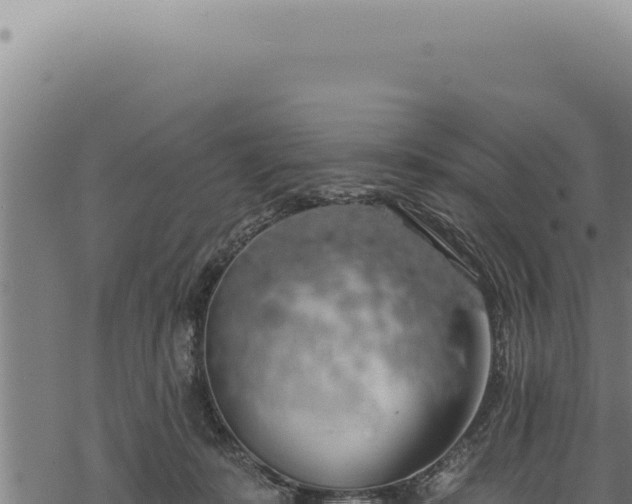 X0000068840319200605121413