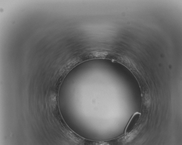 X0000068840321200605121413