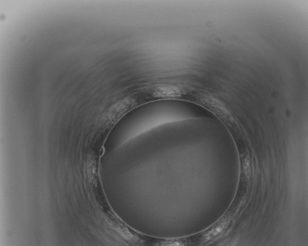 X0000068840322200605121413