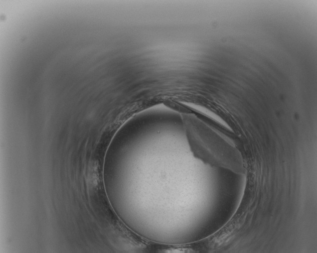 X0000068840323200605121413