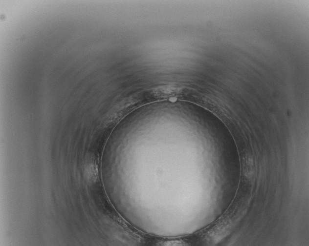 X0000068840324200605121413