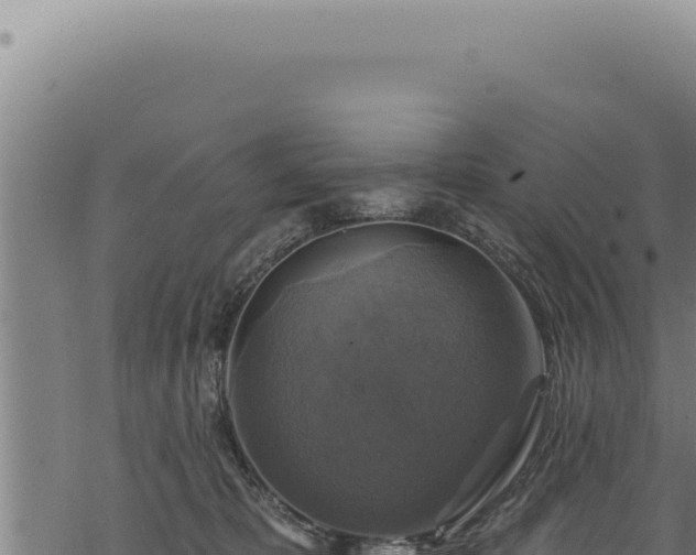 X0000068840325200605121413