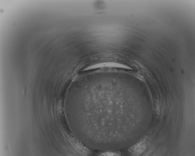 X0000068840326200605121413