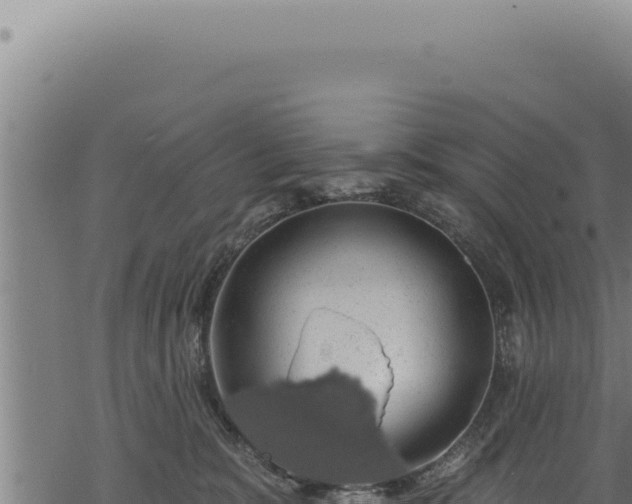 X0000068840327200605121413