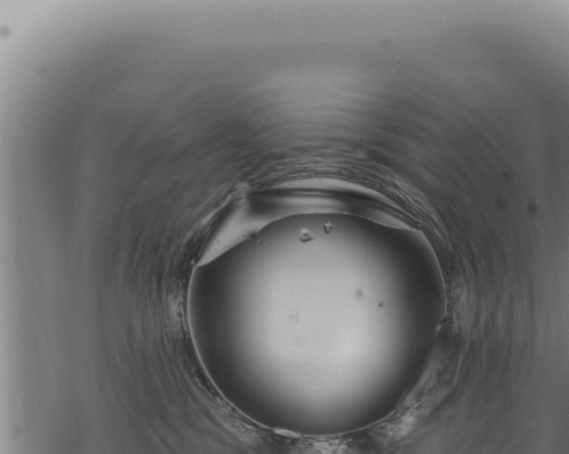 X0000068840329200605121413