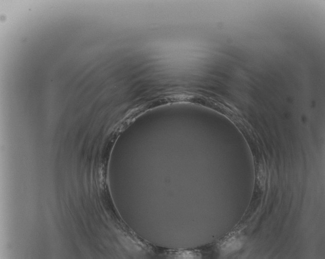 X0000068840330200605121413