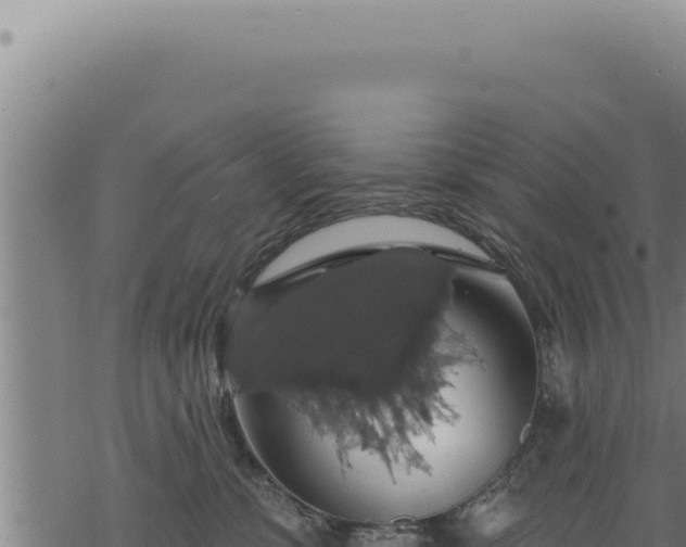 X0000068840331200605121413