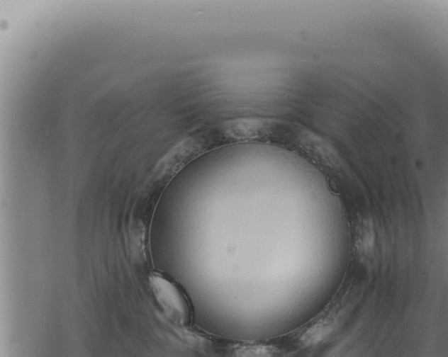 X0000068840332200605121413