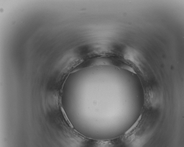 X0000068840333200605121413