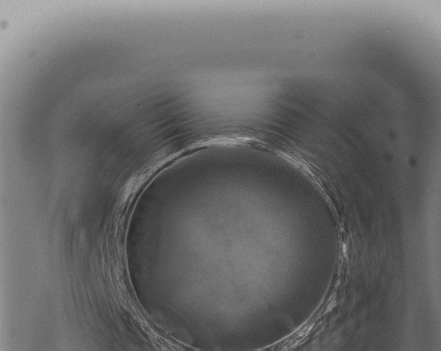 X0000068840337200605121412