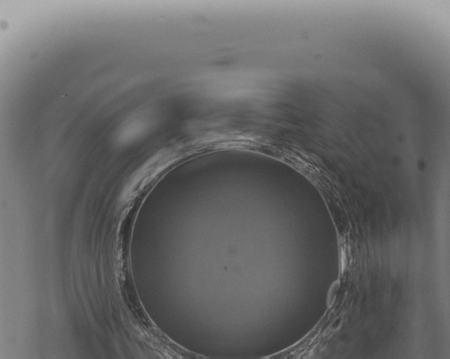 X0000068840339200605121412