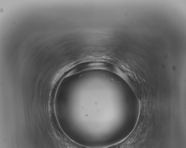 X0000068840340200605121412