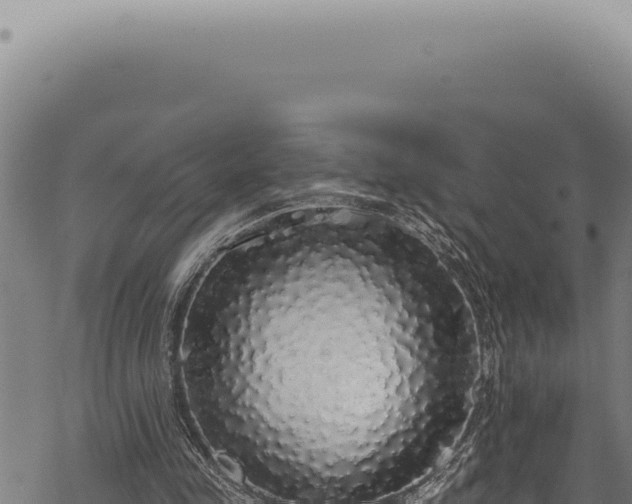 X0000068840341200605121412