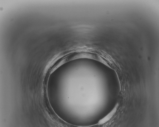 X0000068840344200605121412