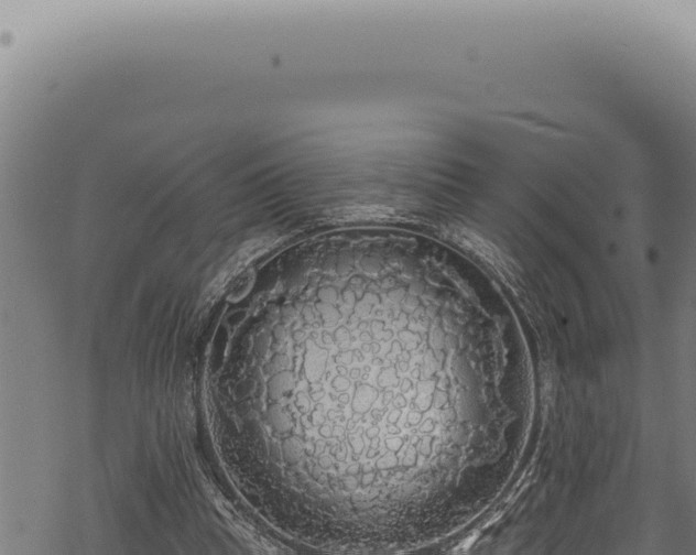 X0000068840345200605121412