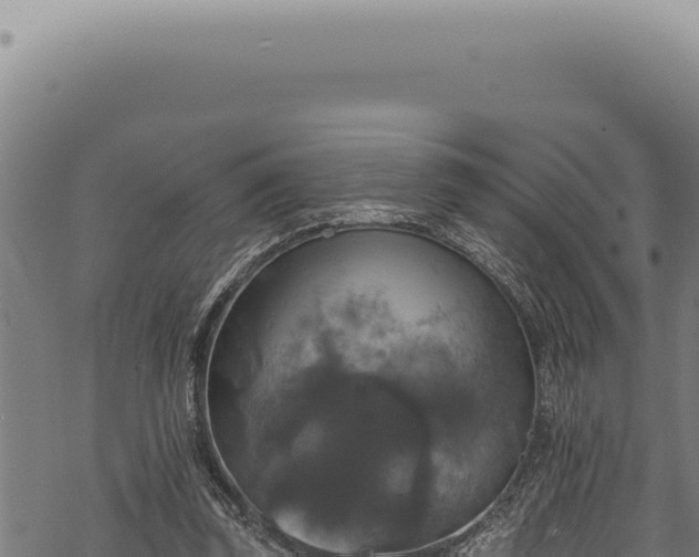 X0000068840347200605121412