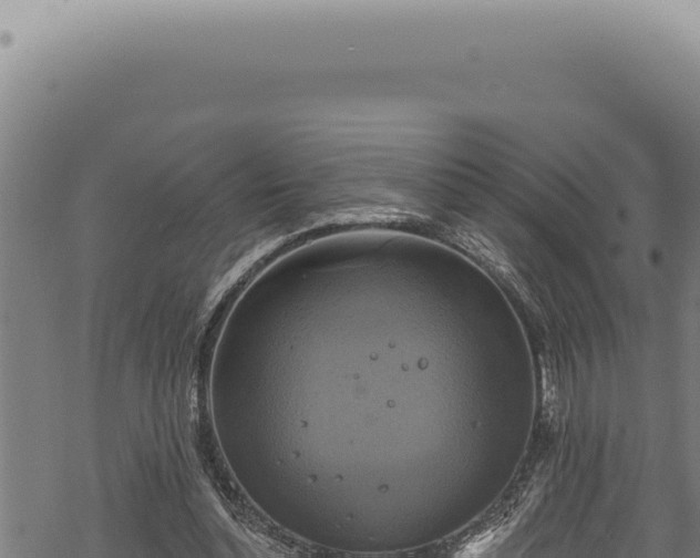 X0000068840348200605121412