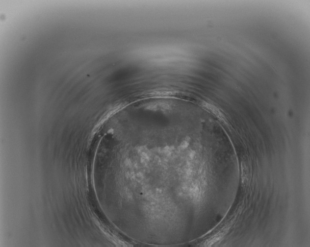 X0000068840349200605121412