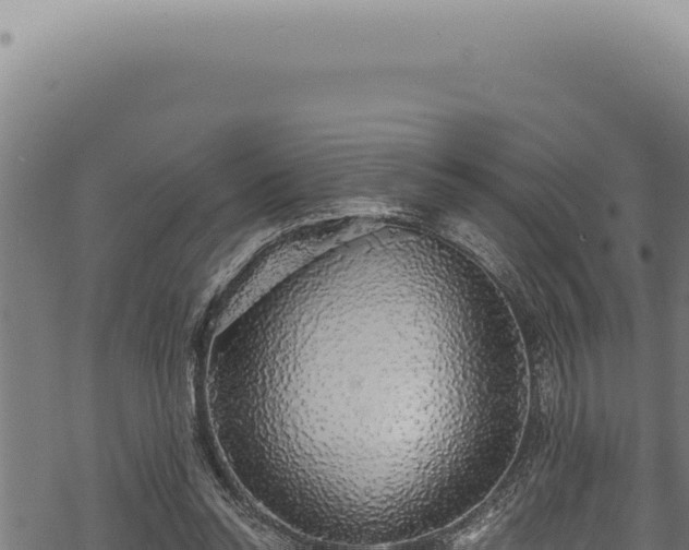 X0000068840350200605121412