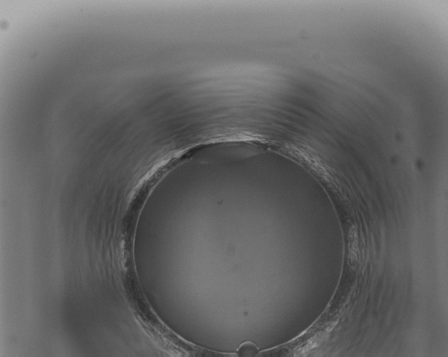 X0000068840351200605121412