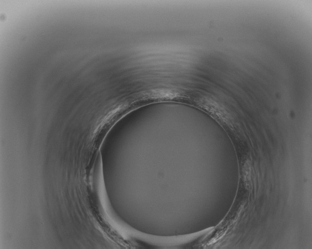 X0000068840352200605121412