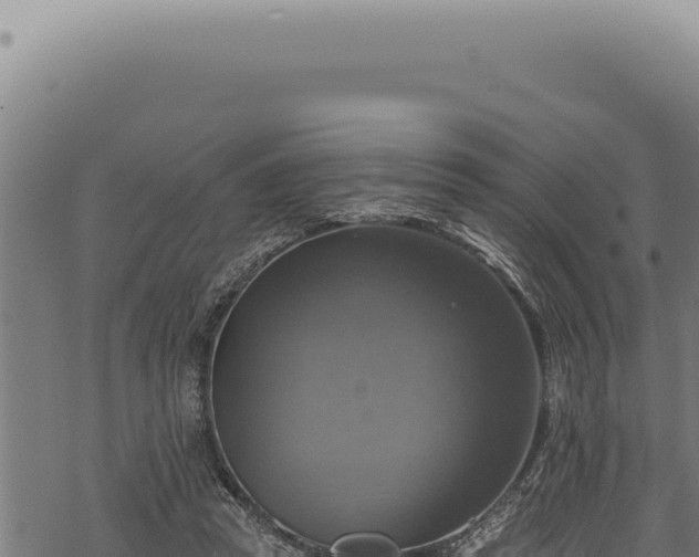 X0000068840353200605121412