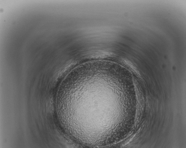 X0000068840354200605121412