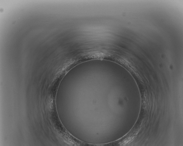 X0000068840355200605121412