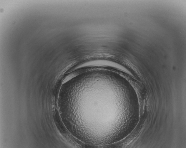 X0000068840356200605121412