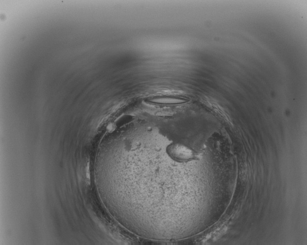 X0000068840358200605121412