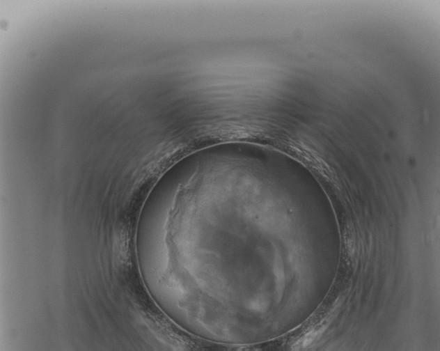 X0000068840359200605121412