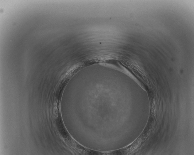 X0000068840360200605121412