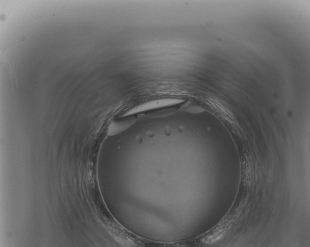 X0000068840361200605121412