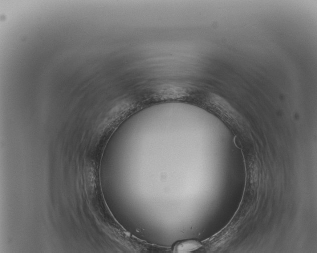 X0000068840362200605121412