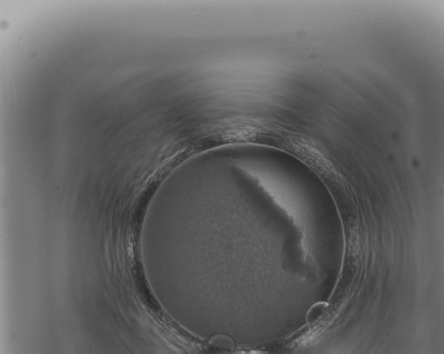 X0000068840363200605121412