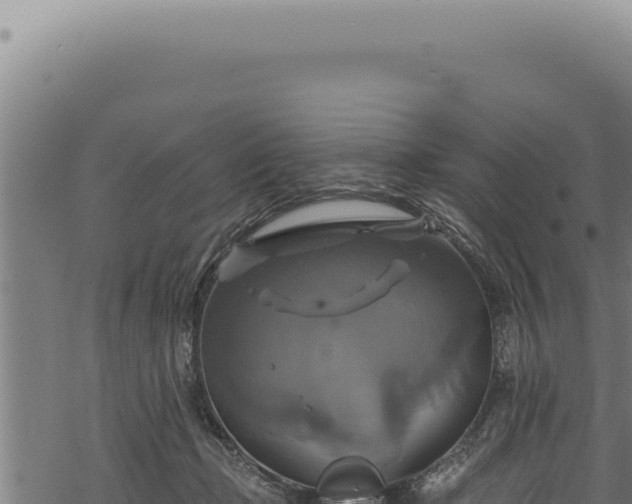 X0000068840365200605121412