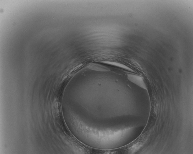 X0000068840366200605121412