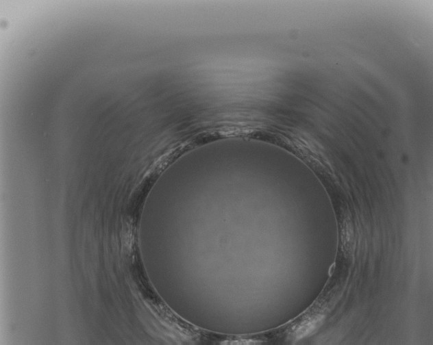 X0000068840367200605121412