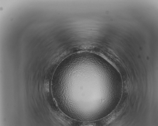 X0000068840368200605121412