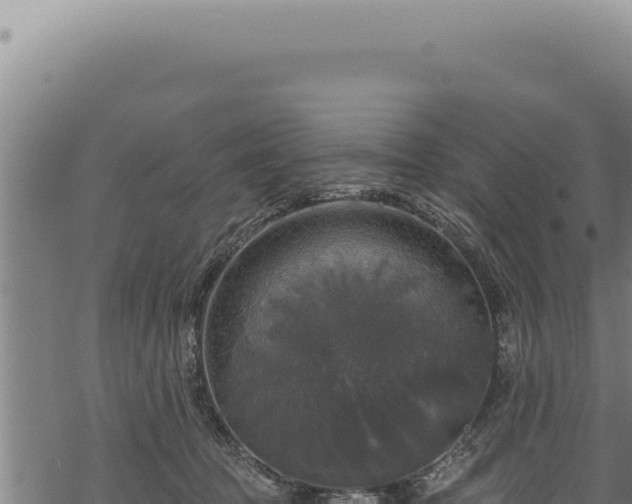 X0000068840369200605121412