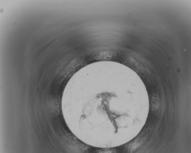 X0000068840370200605121412