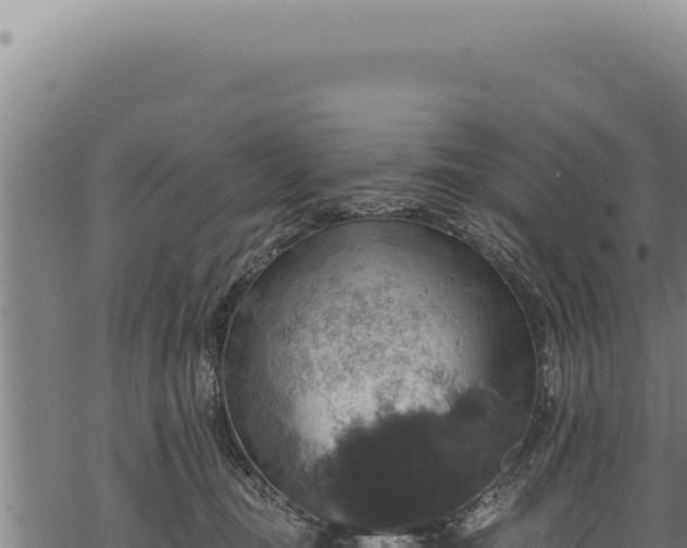 X0000068840371200605121413