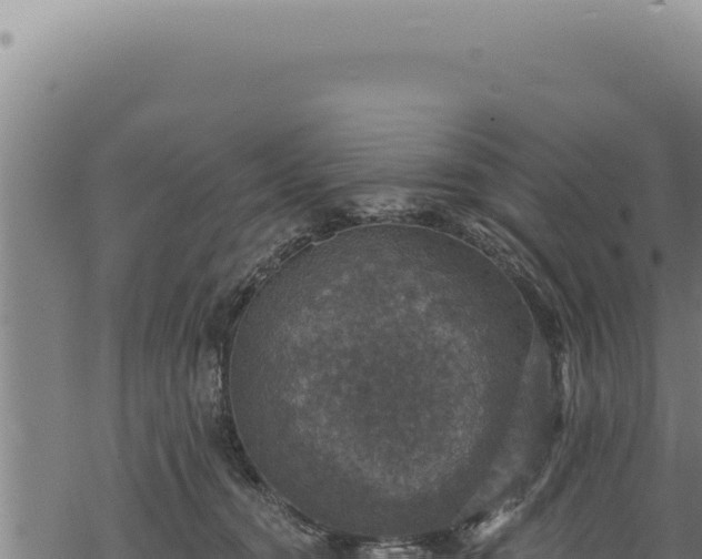 X0000068840372200605121413