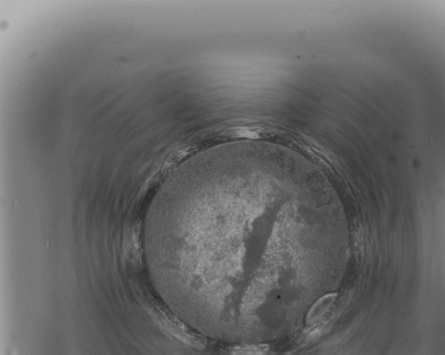 X0000068840373200605121413