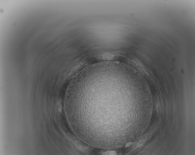 X0000068840374200605121413