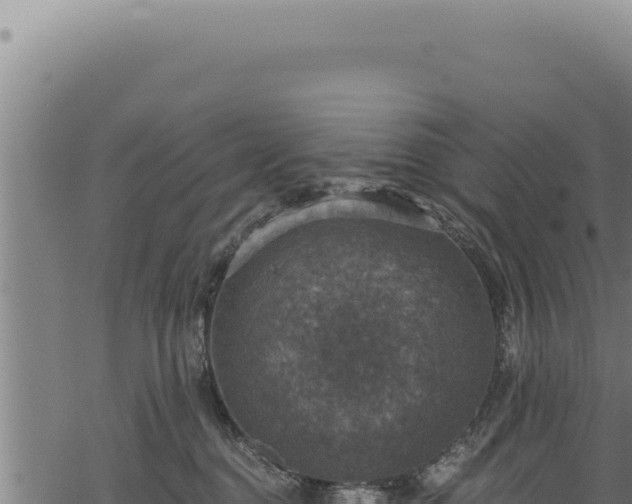 X0000068840376200605121413