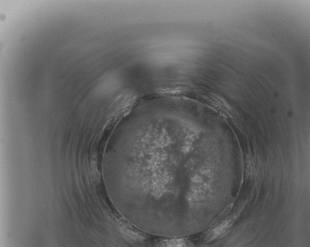 X0000068840377200605121413