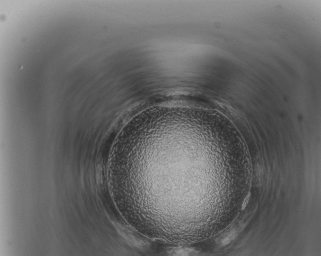 X0000068840379200605121413