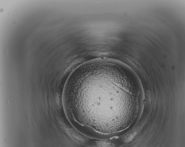 X0000068840380200605121413